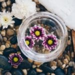 flowers-in-water-on-pebbles_925x